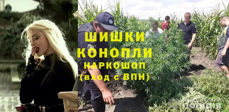 наркота  Вичуга  Канабис LSD WEED 